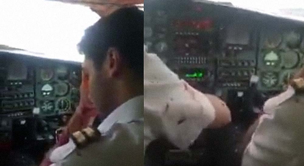 Un buitre choca contra una avioneta, no te pierdas el vídeo 4